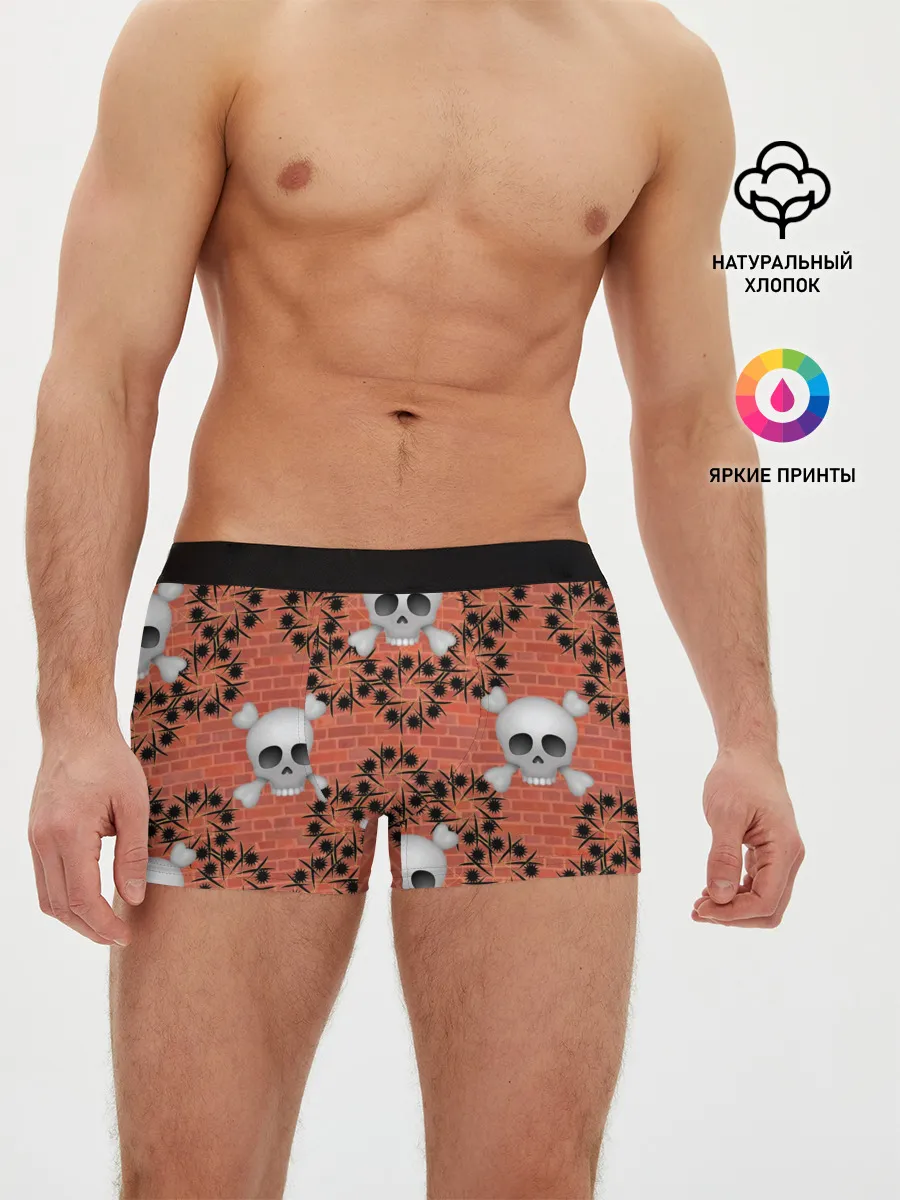 Мужские трусы боксеры / Кирпичные черепа
