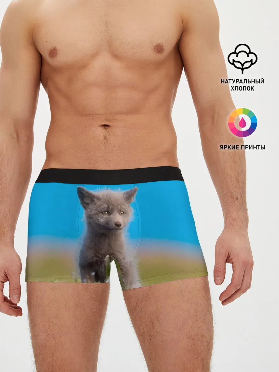 Мужские трусы боксеры / Смешной лисенок