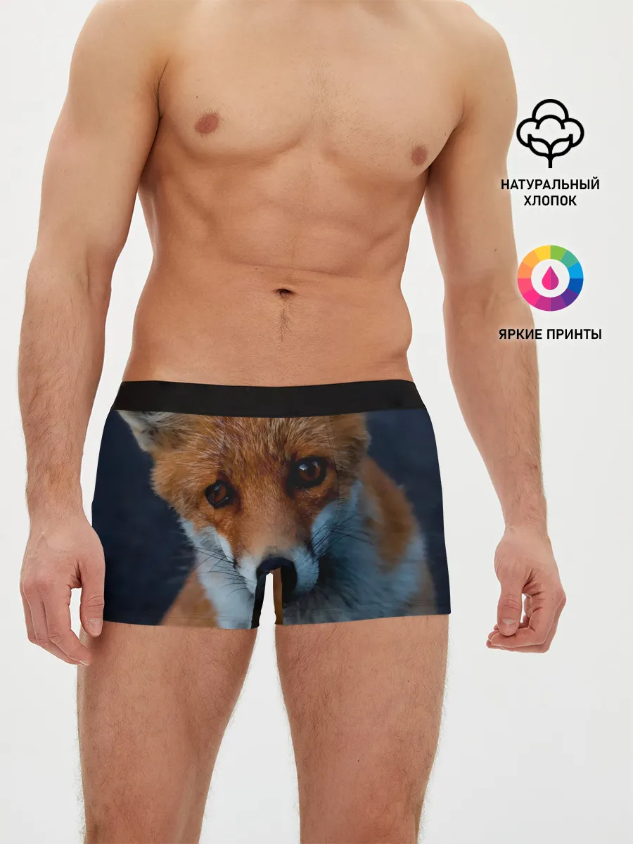 Мужские трусы боксеры / Мудрая лиса