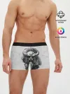 Мужские трусы боксеры / Экспансия Викинга