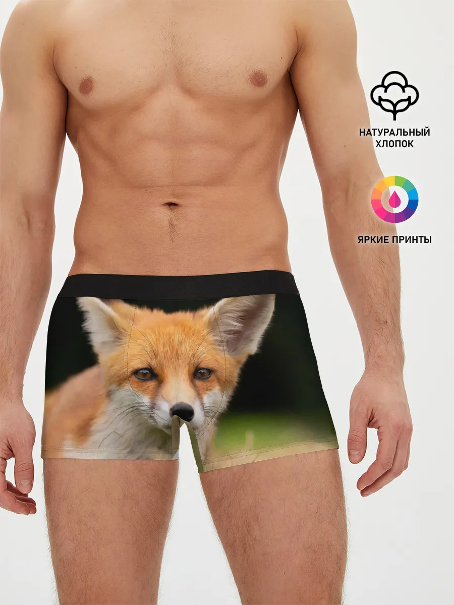 Мужские трусы боксеры / Мордочка лисицы