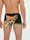 Мужские трусы боксеры / Мордочка лисицы
