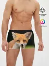 Мужские трусы боксеры / Мордочка лисицы
