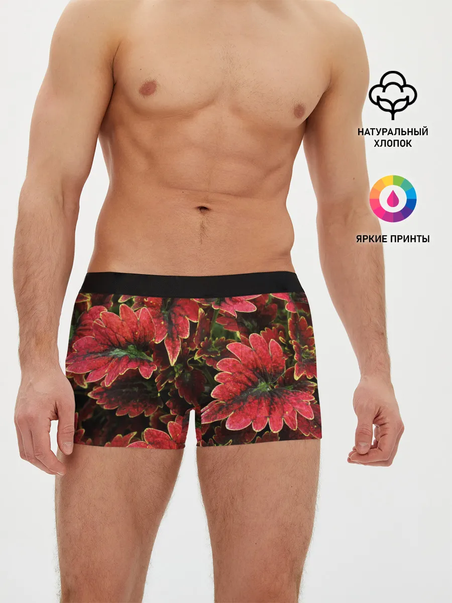 Мужские трусы боксеры / Красные листья