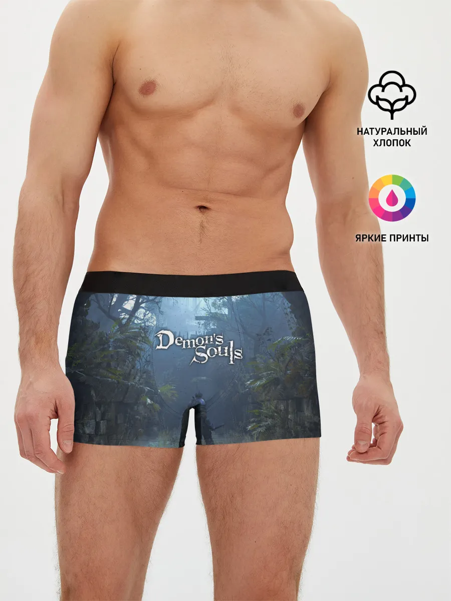 Мужские трусы боксеры / Demons Souls art