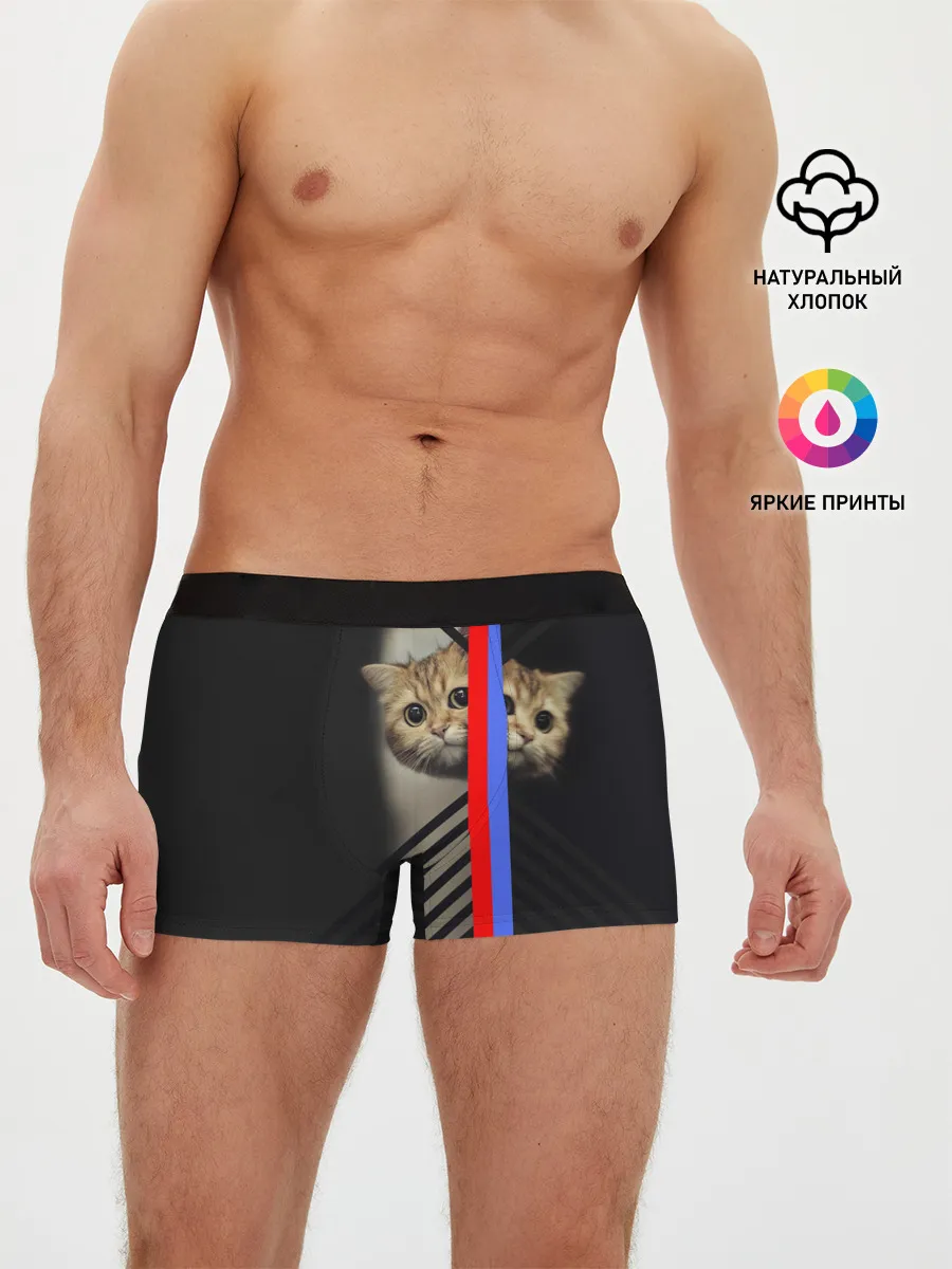 Мужские трусы боксеры / Кот