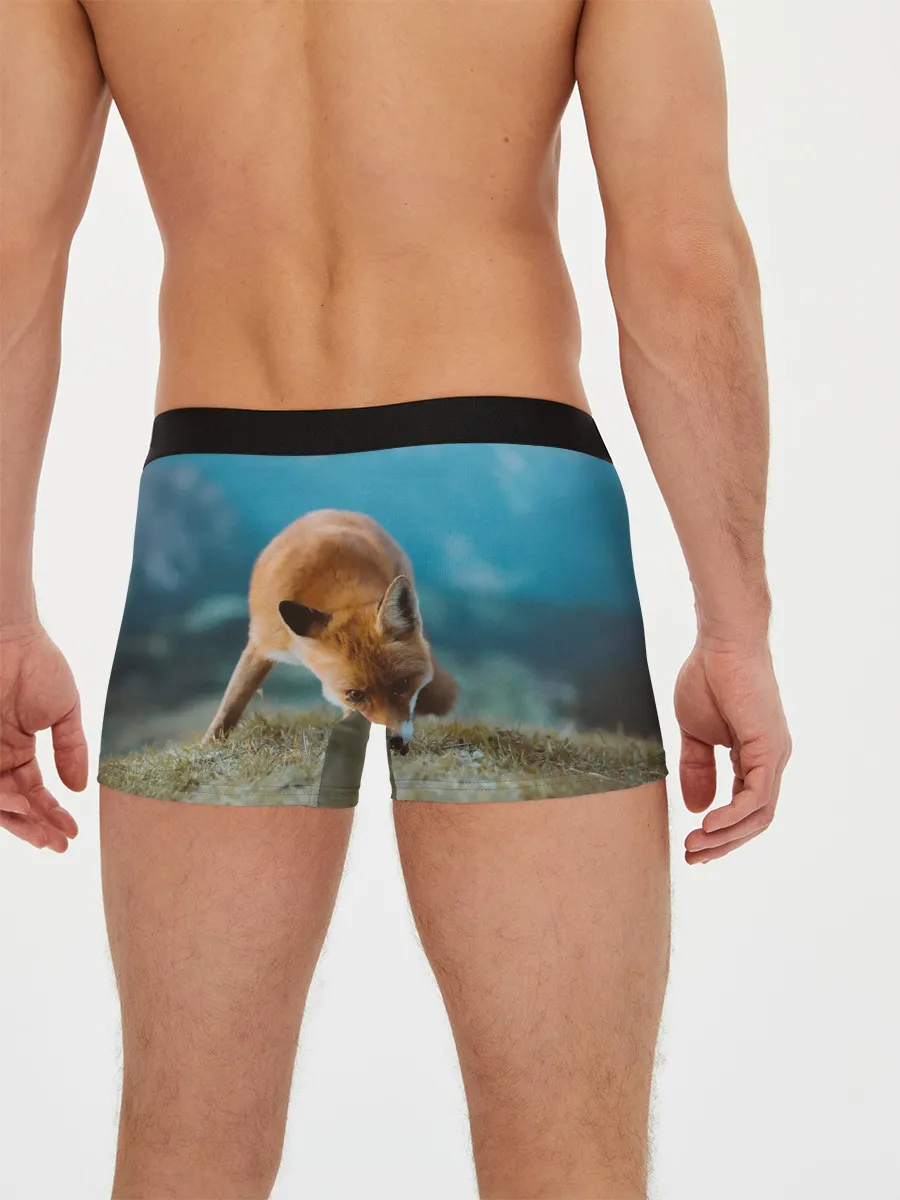 Мужские трусы боксеры / Милая лисичка