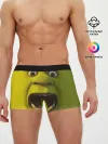 Мужские трусы боксеры / Shrek | Шрек
