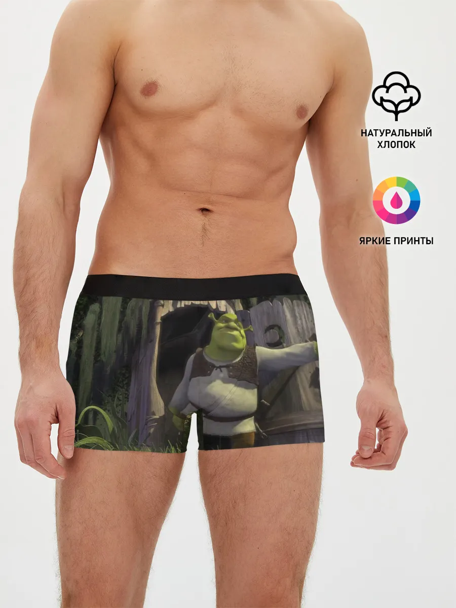 Мужские трусы боксеры / Somebody Once Told Me