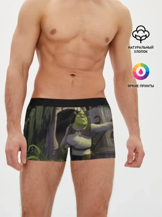 Мужские трусы боксеры / Somebody Once Told Me