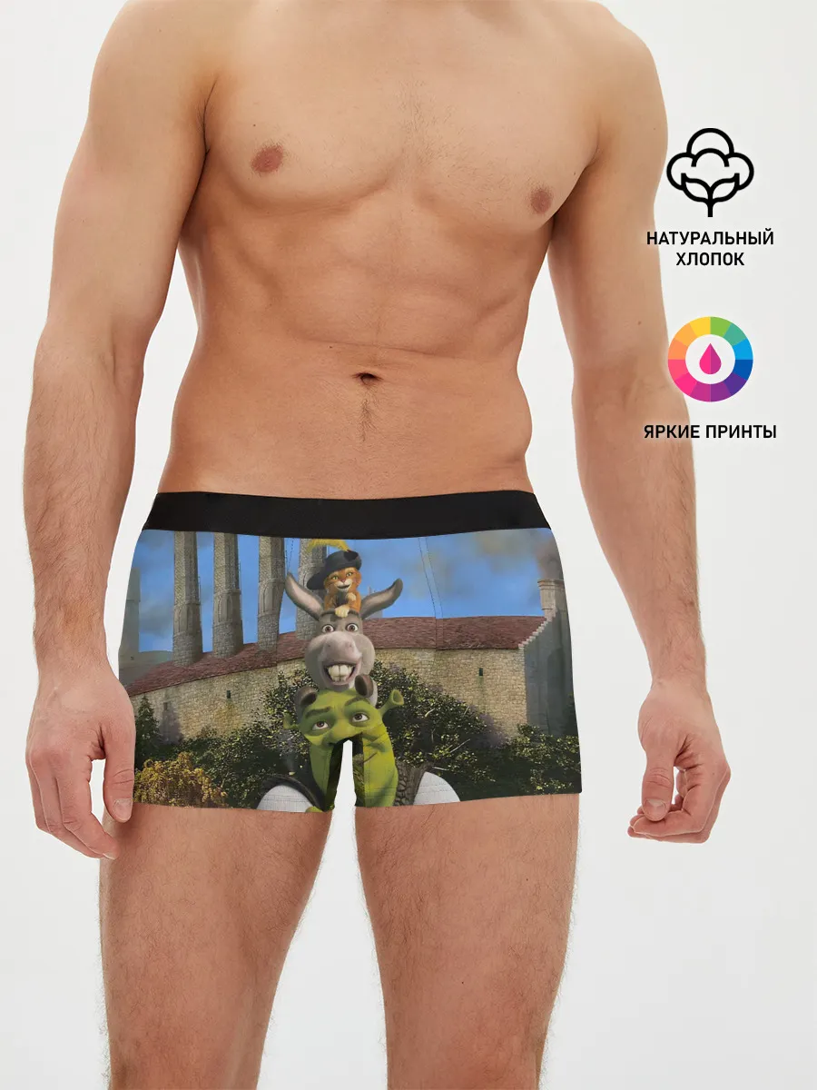 Мужские трусы боксеры / Шрек, Кот и Осёл