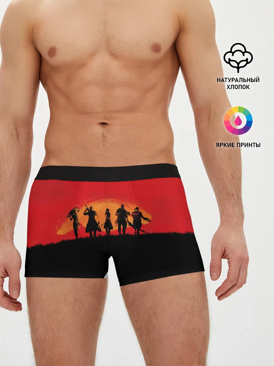 Мужские трусы боксеры / DMC x RDR