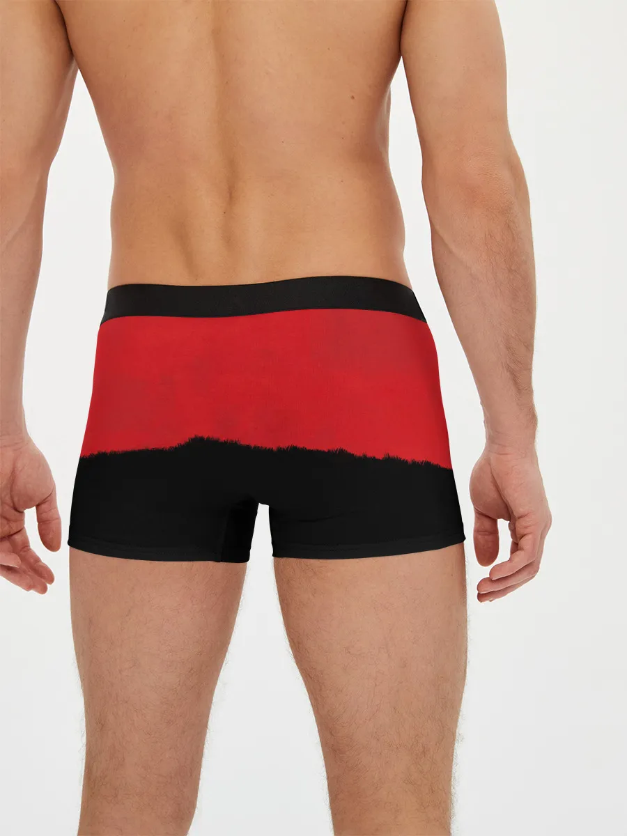 Мужские трусы боксеры / DMC x RDR