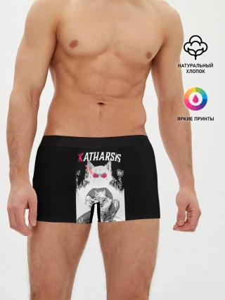 Мужские трусы боксеры / Katharsis | Beastars