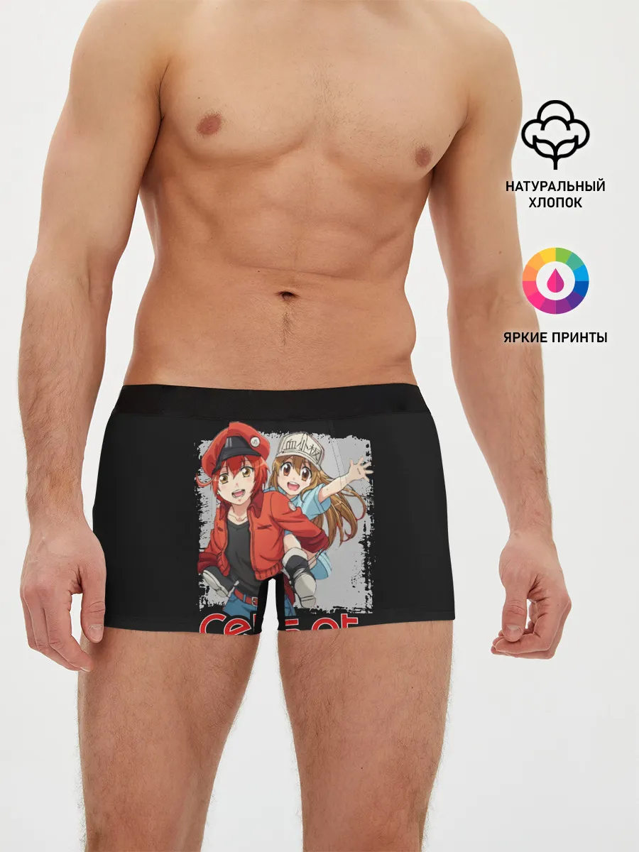 Мужские трусы боксеры / Эритроцит и тромбоцит