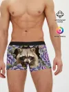 Мужские трусы боксеры / Енот среди цветов