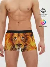 Мужские трусы боксеры / LION