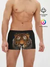 Мужские трусы боксеры / TIGER