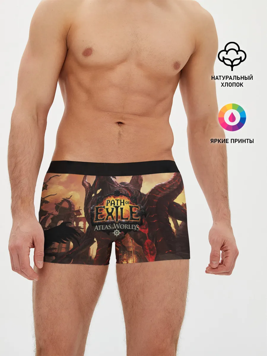 Мужские трусы боксеры / Path of Exile