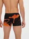 Мужские трусы боксеры / Дыхание Солнца / Demon slayer