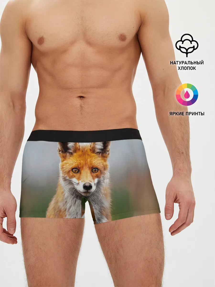 Мужские трусы боксеры / рыжая лисица