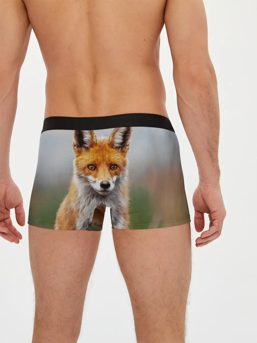 Мужские трусы боксеры / рыжая лисица