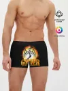 Мужские трусы боксеры / GAMER | Геймер