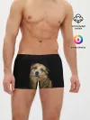 Мужские трусы боксеры / ГРУСТНЫЕ ГЛАЗКИ