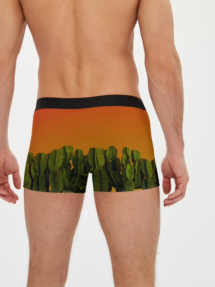 Мужские трусы боксеры / Кактусы на закате