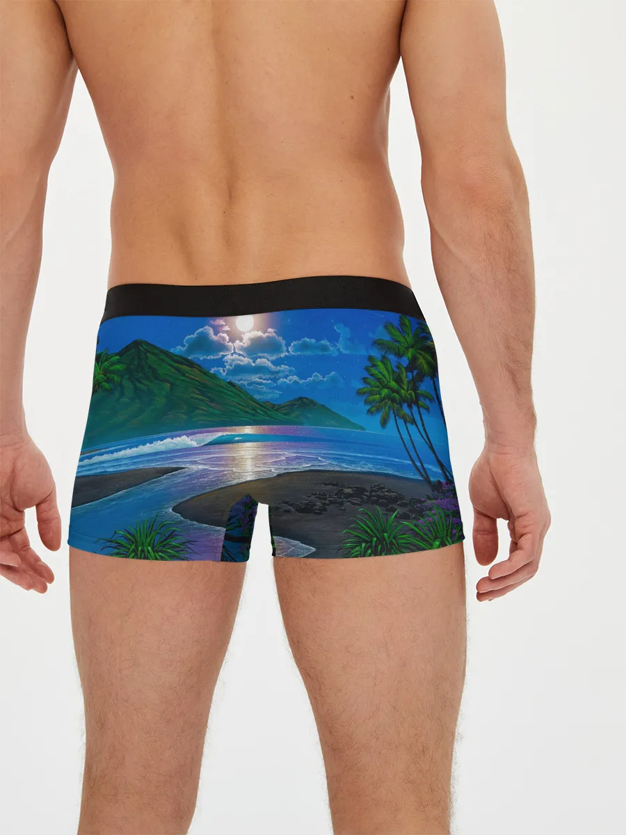 Мужские трусы боксеры / Гавайский пейзаж