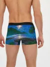 Мужские трусы боксеры / Гавайский пейзаж