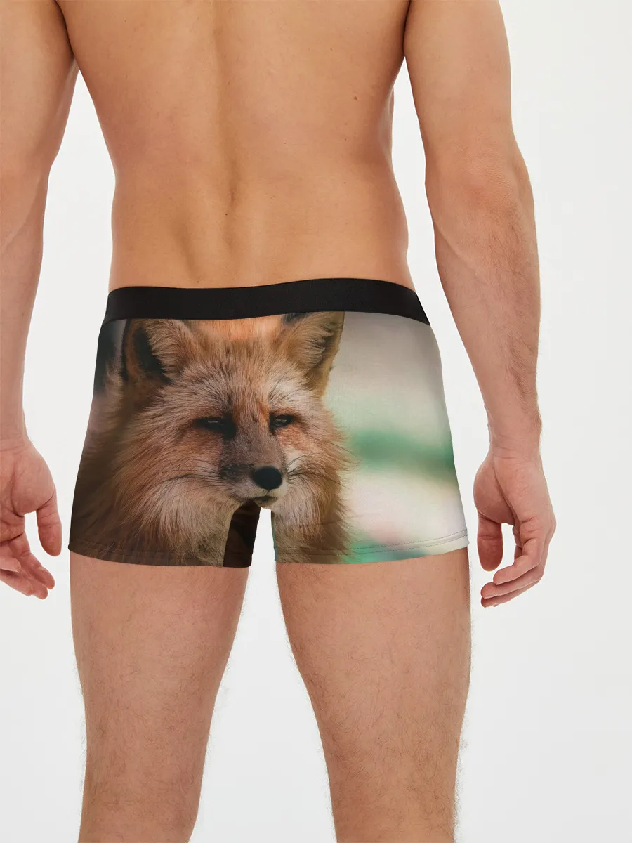 Мужские трусы боксеры / Строгая лисица