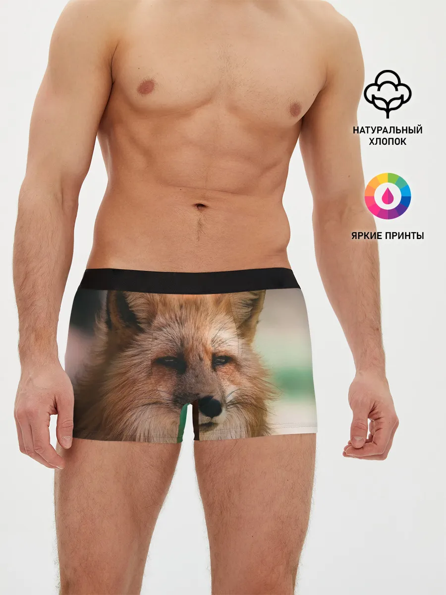 Мужские трусы боксеры / Строгая лисица
