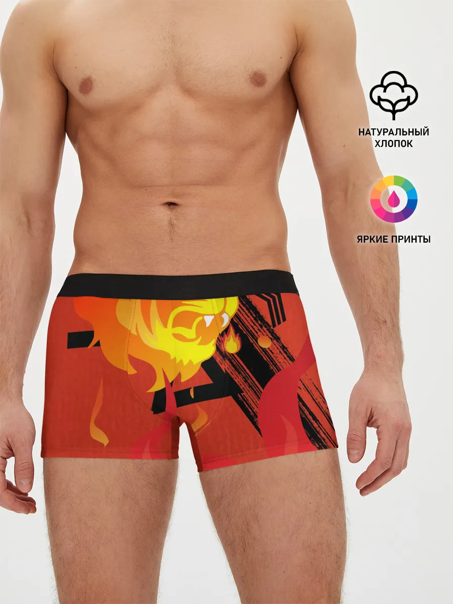 Мужские трусы боксеры / Огненный лев