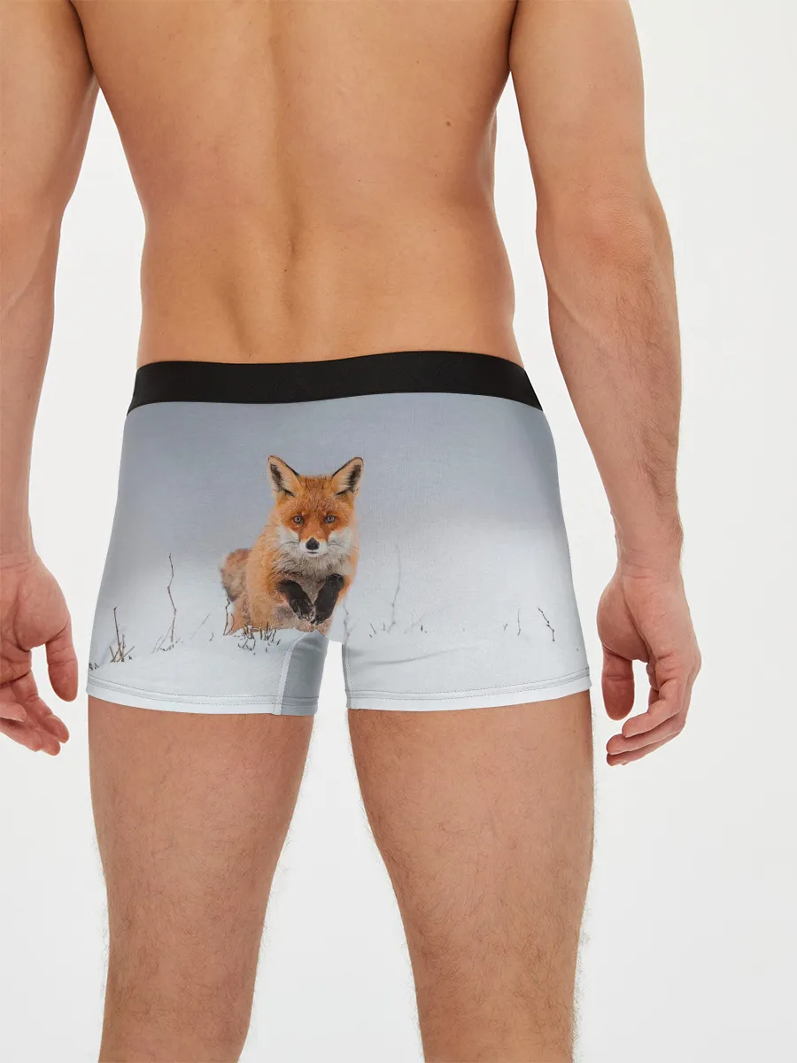 Мужские трусы боксеры / Лисица прыгает по снегу