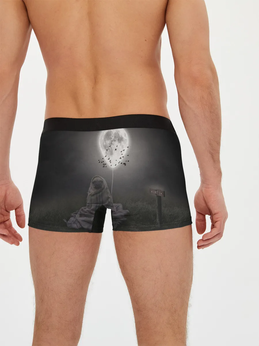Мужские трусы боксеры / Мопс и луна
