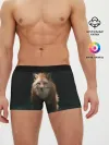 Мужские трусы боксеры / Хитрый Лис