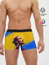 Мужские трусы боксеры / ЗЛАТАН ИБРАГИМОВИЧ / ШВЕЦИЯ