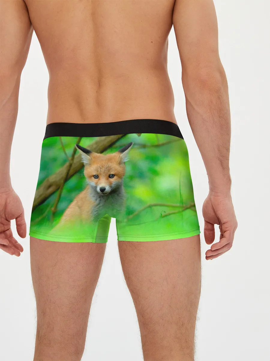 Мужские трусы боксеры / Лисенок в зеленом лесу