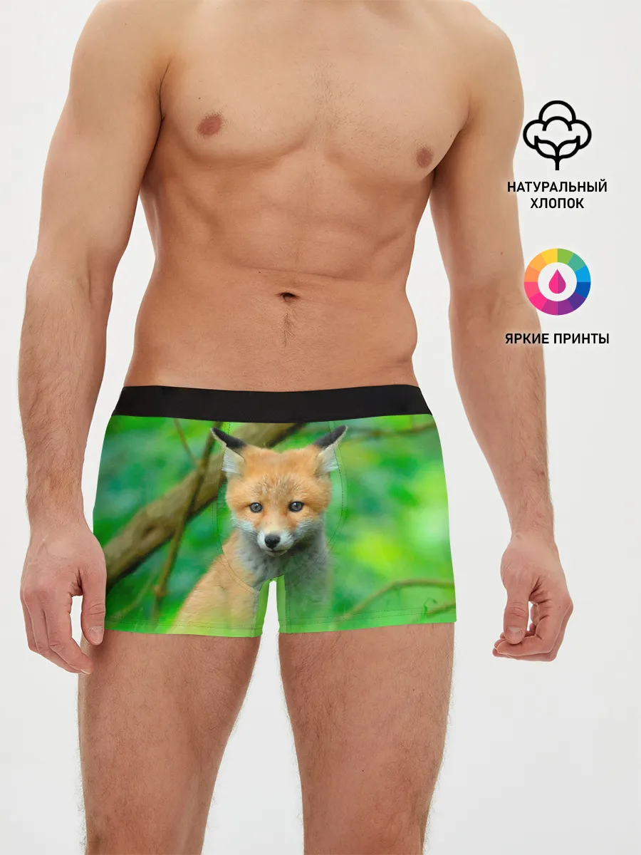 Мужские трусы боксеры / Лисенок в зеленом лесу