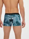 Мужские трусы боксеры / Львица в бушующих волнах