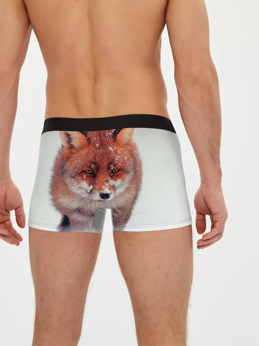 Мужские трусы боксеры / Лисица и снег