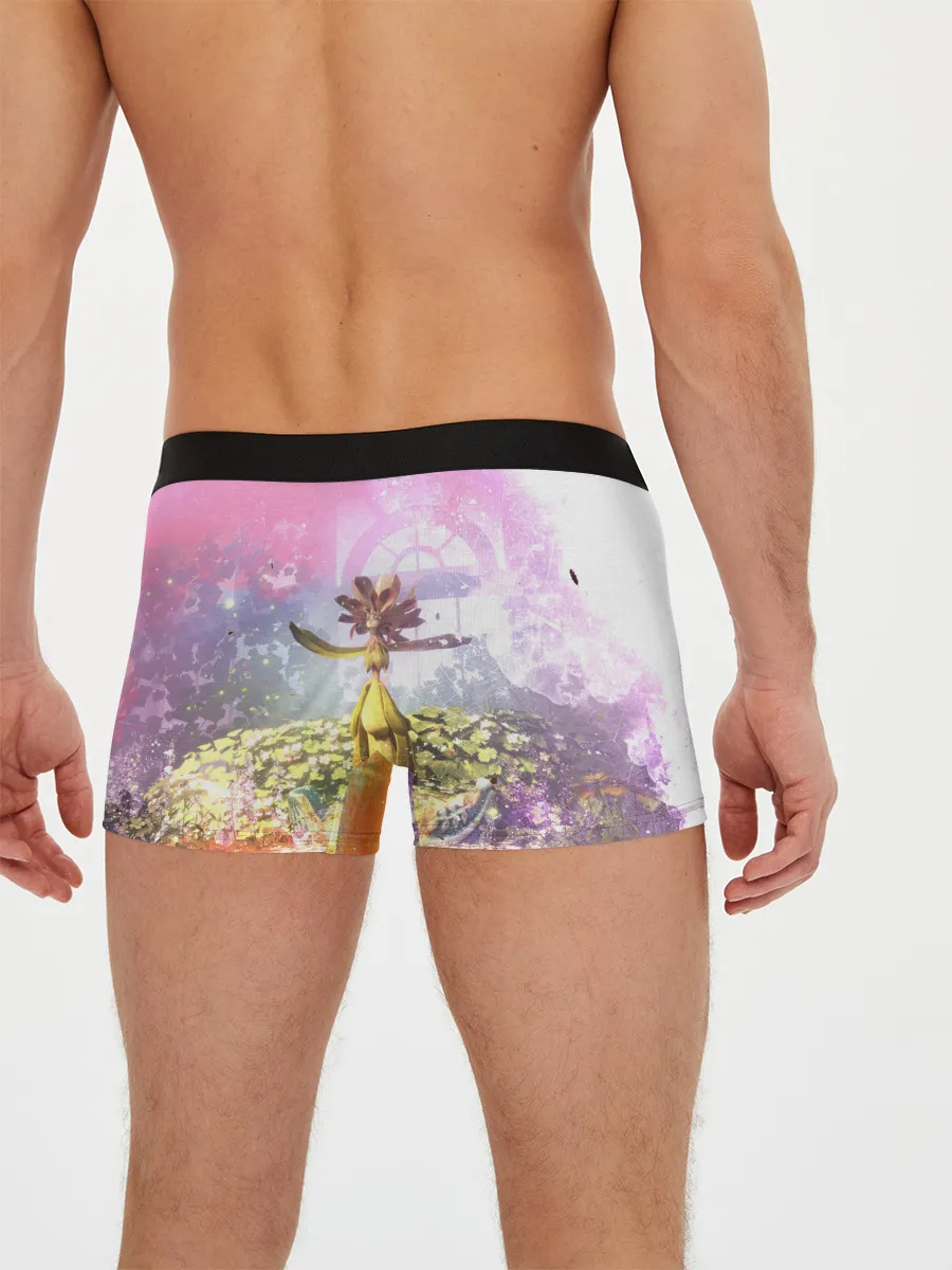 Мужские трусы боксеры / It takes two | Радость