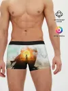 Мужские трусы боксеры / For Honor Mirage
