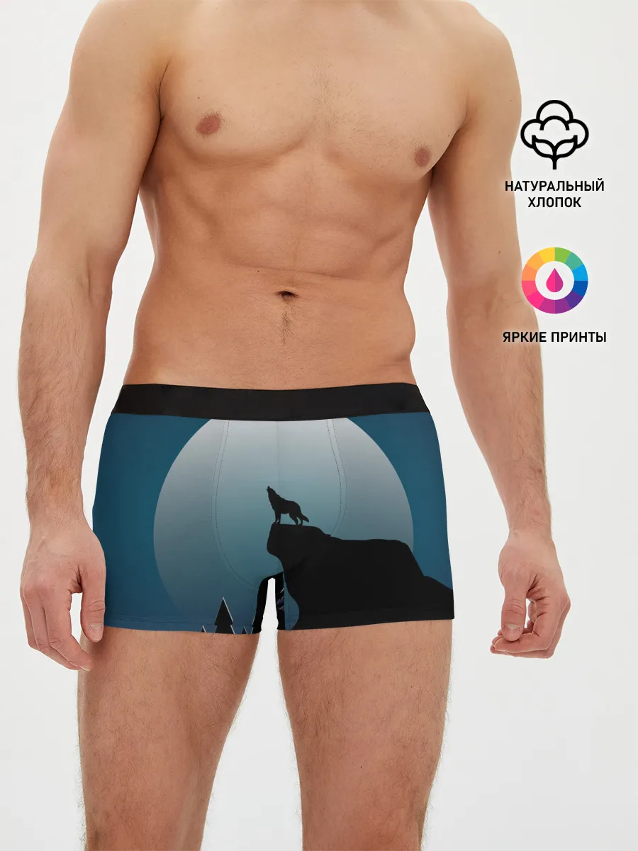 Мужские трусы боксеры / ВОЛК И ЛУНА 3D