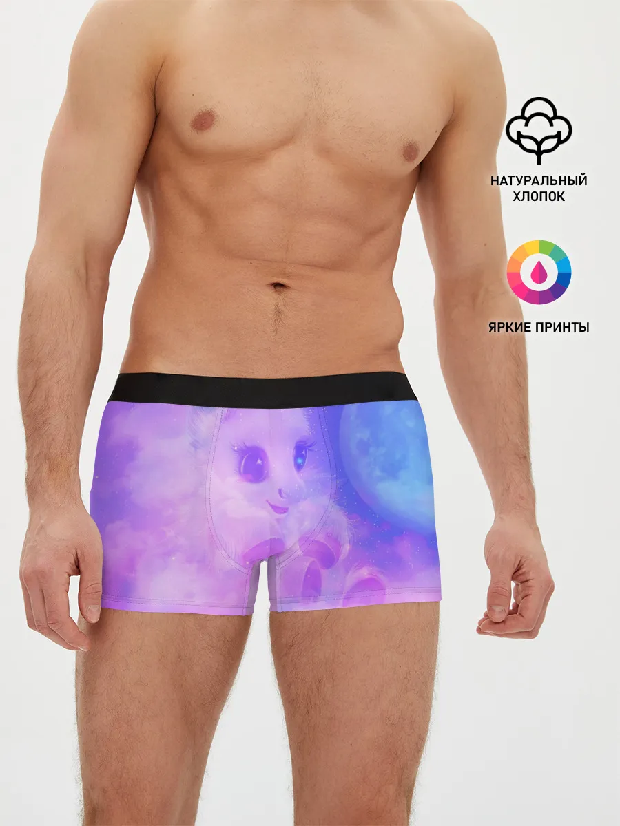 Мужские трусы боксеры / Пони в облаках