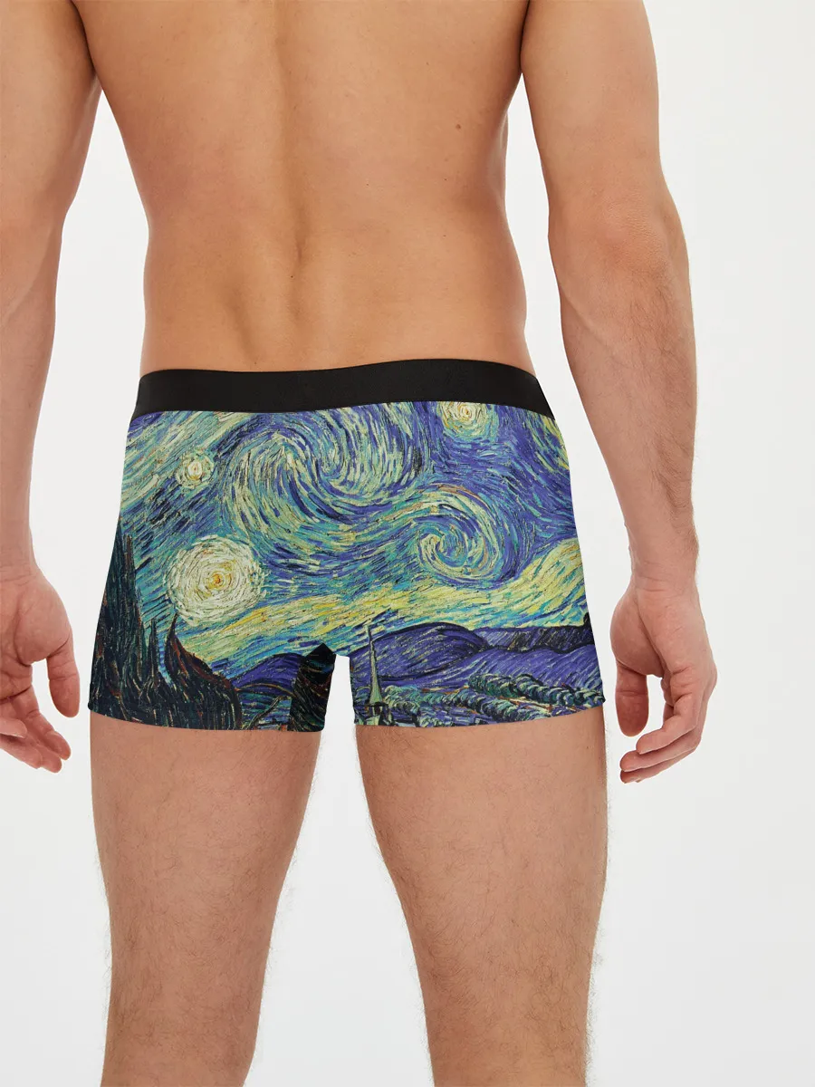 Мужские трусы боксеры / Ван Гог - Deal with it