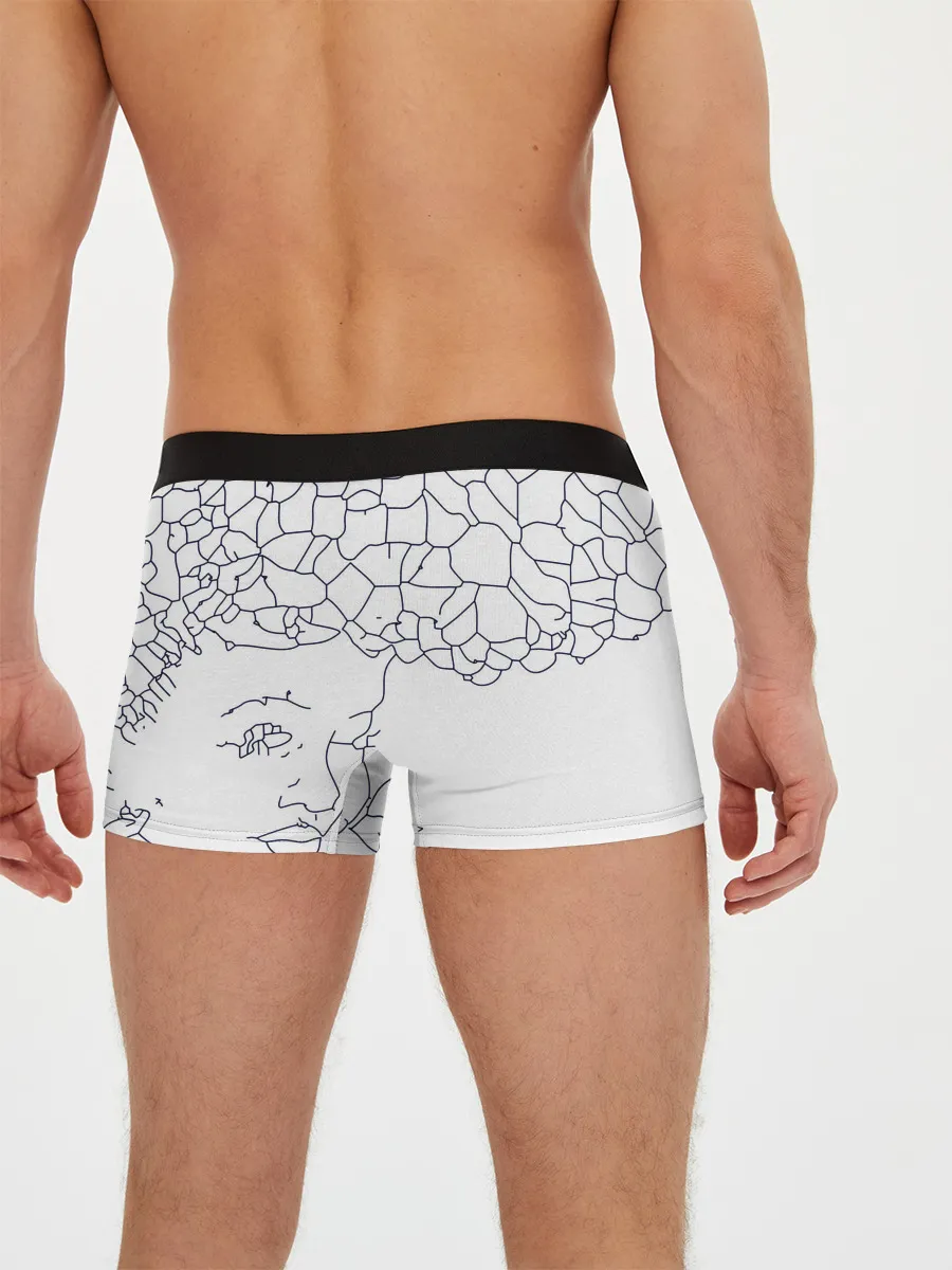 Мужские трусы боксеры / Афро абстракция