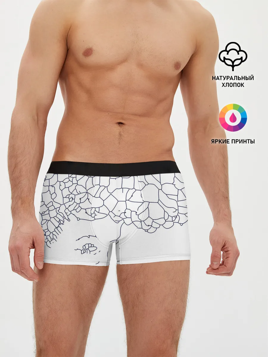 Мужские трусы боксеры / Афро абстракция