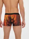 Мужские трусы боксеры / ДРЕВО ХАОС 3D